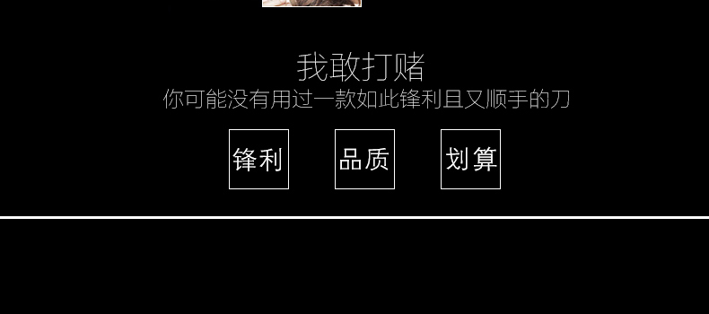 
                                        德世朗进口不锈钢刀具 面包刀单刀 辅助冻肉刀 带锯齿厨刀 LY007                