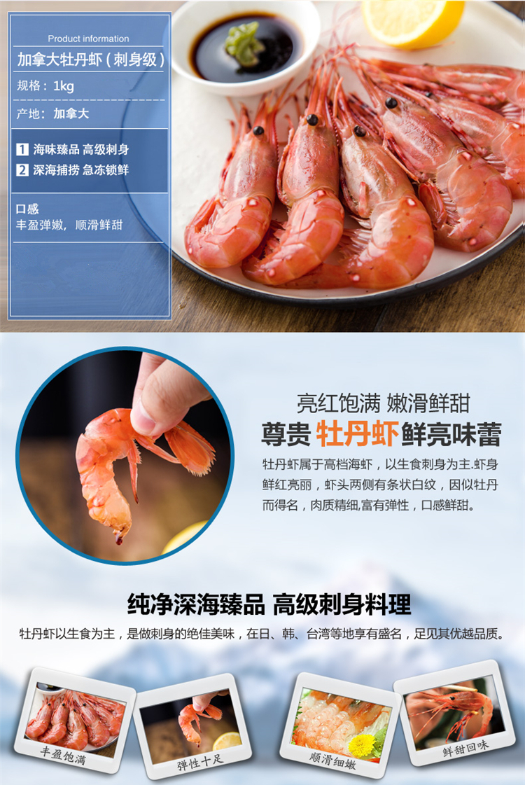 冷冻加拿大牡丹虾 15-19只 1kg
