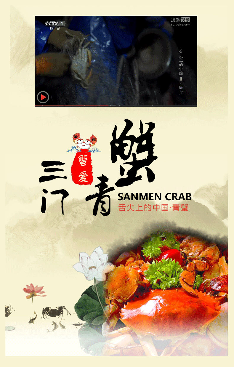 活鲜蟹爱鲜活三门青蟹红膏蟹母蟹59两只500g盒装