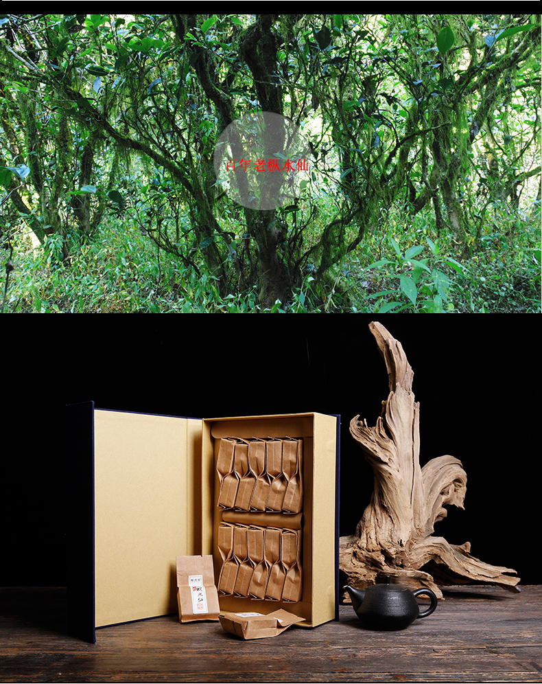 碧石岩 慧苑坑老枞水仙三坑两涧正岩武夷岩茶大红袍高端私房茶礼盒装
