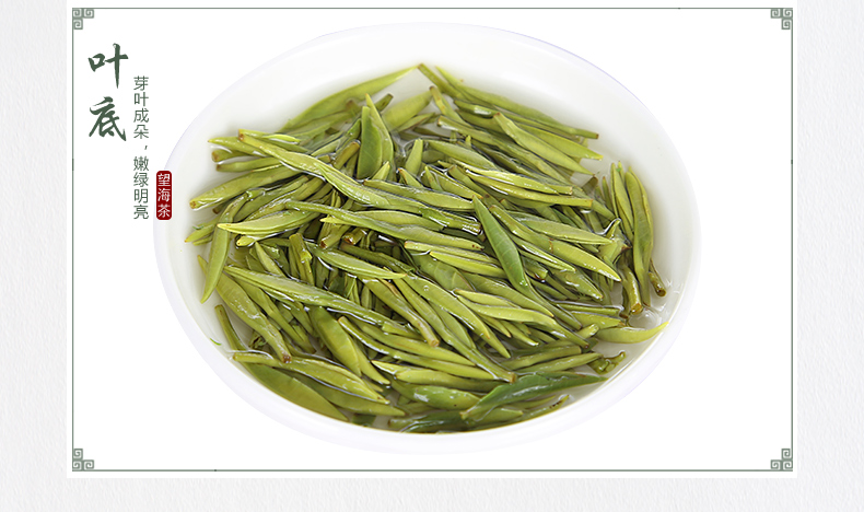 望海茶2021年新茶宁海望海峰春茶礼盒250g一级茶叶绿茶礼盒装请拍4罐