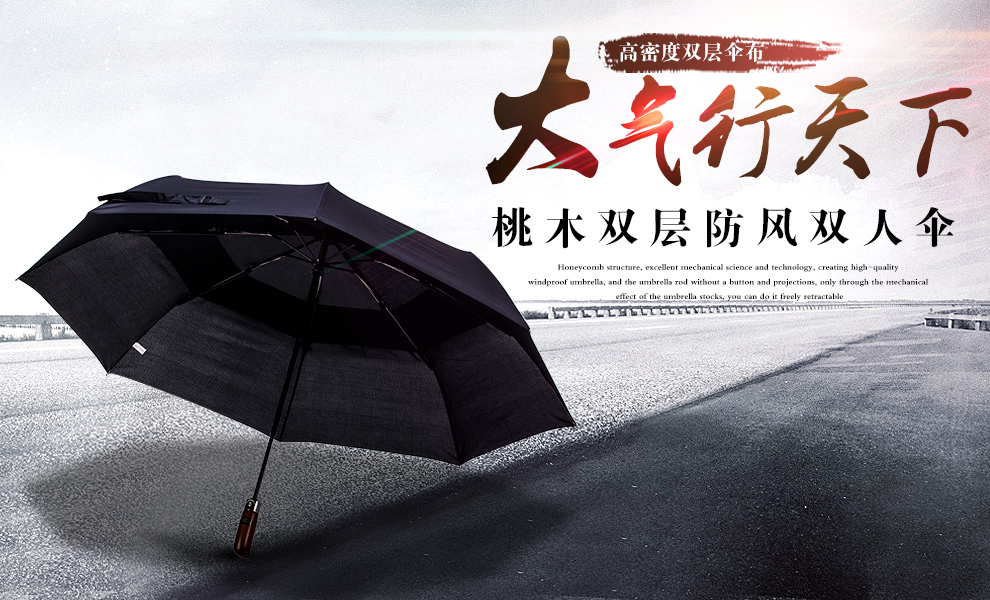 
                                                                                TTK 商务雨伞男士加大加固一甩干双层全自动伞抗台风防暴雨晴雨伞 钢琴黑                