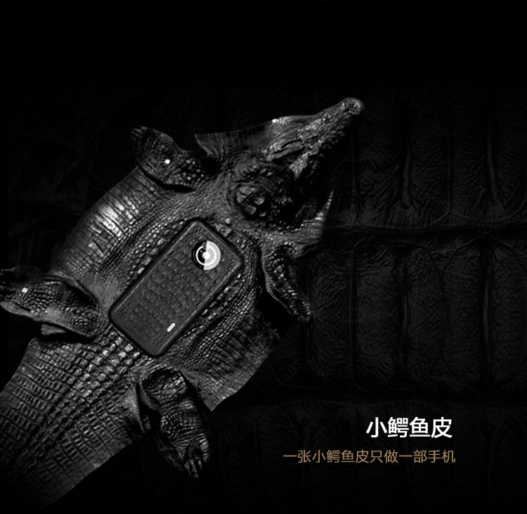 
                                        詹姆士（GEMRY）R12 经典贵族商务智能手机 钻石版 21颗钻石 蓝宝石屏 鳄鱼皮                