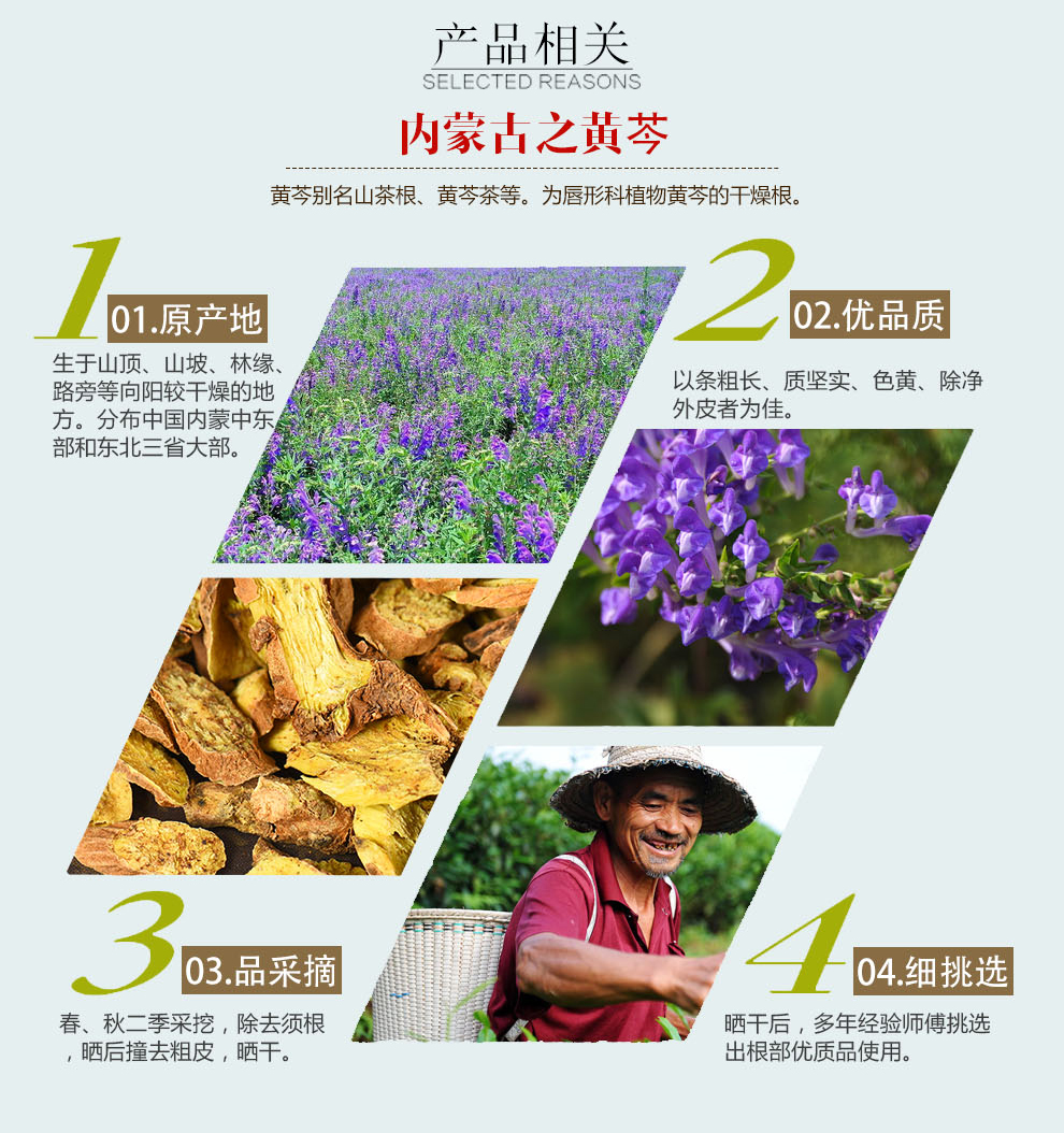 供应 自耕农 黄芩 黄芩茶 黄芩片 黄芩粉 黄芩2