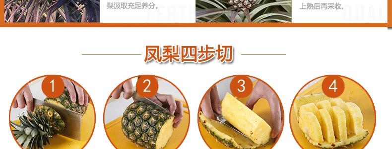 台湾特产金钻凤梨 新鲜进口水果 树上熟无眼菠萝 6颗装