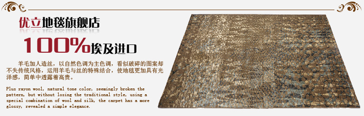 优立地毯 埃及进口地毯地垫 羊毛加丝客厅地毯美式卧室毯 TN-308A 2300MMx3200MM
