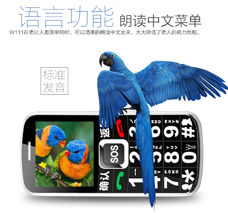 Daxian/大显W111 移动/联通2G老人手机 老人机 大按键手机 红色