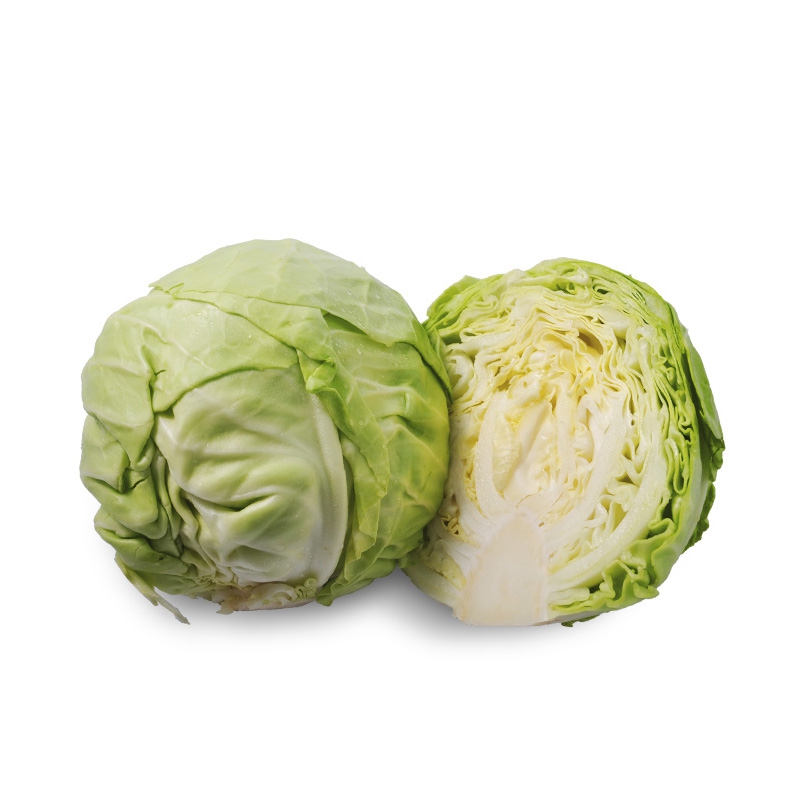 东升农场 东升青椰菜 卷心菜 包心菜 约800g 广州新鲜配送【图片 价格