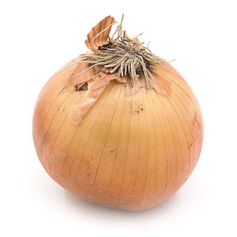 我厨 黄洋葱750g以上
