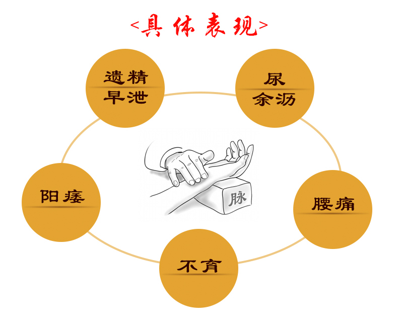 北京同仁堂 五子衍宗丸60g 阳痿早泄补肾壮阳遗精腰痛肾虚药品男性 6