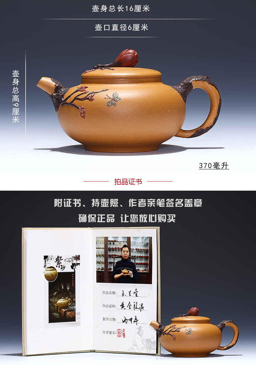 王镇学 工艺美术师 黄金段泥【玉兰壶】宜兴紫砂壶茶壶