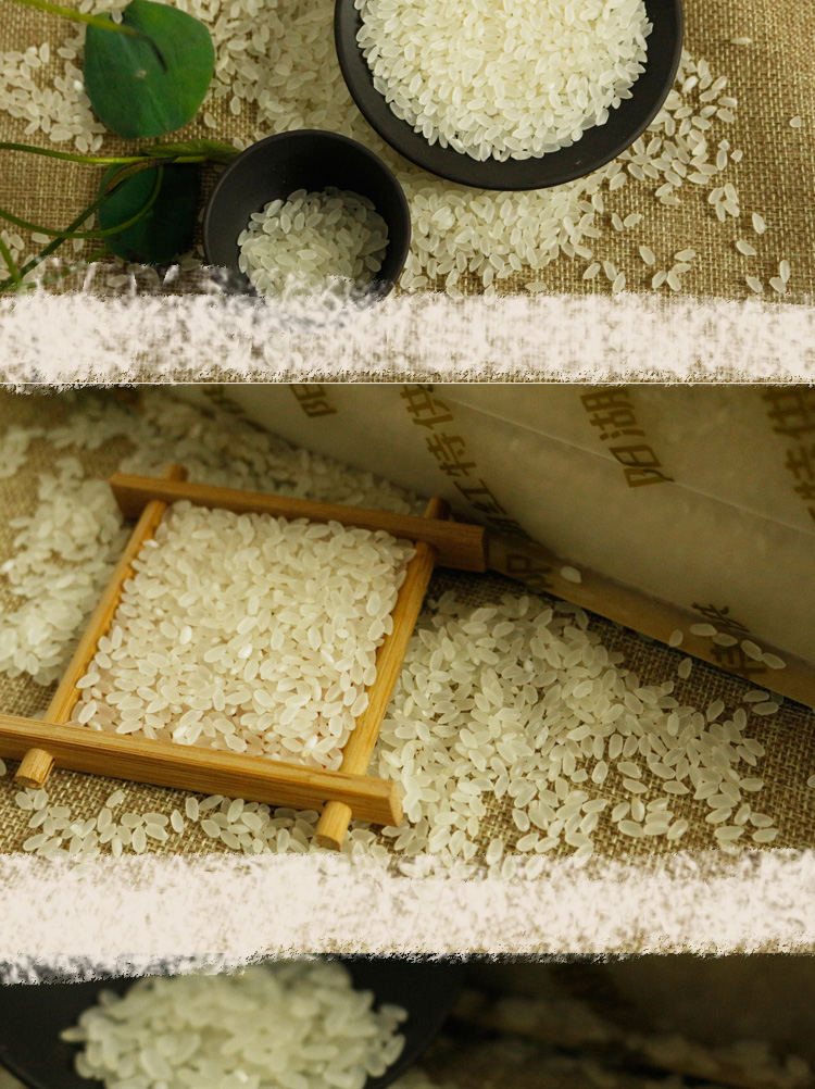 【常州馆】五常长粒香米5kg东北黑龙江大米 非转基因大米