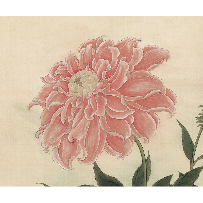 姿翰超高清微喷装饰画于非闇工笔大丽花图瘦金体字画绢本107x51画芯不