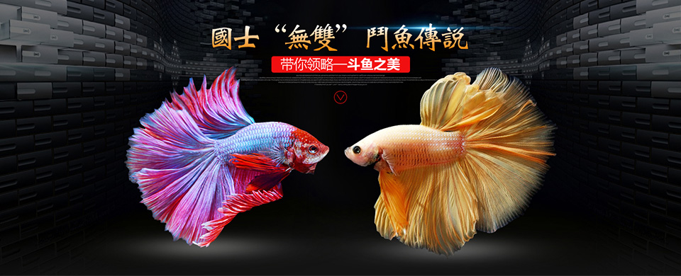 奇溢自然 小型鱼微颗粒饲料鱼粮沉底鱼粮 热带