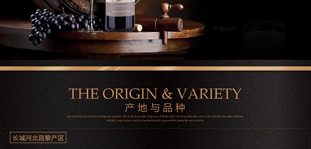 国产红酒长城特选级解百纳干红葡萄酒750ml*