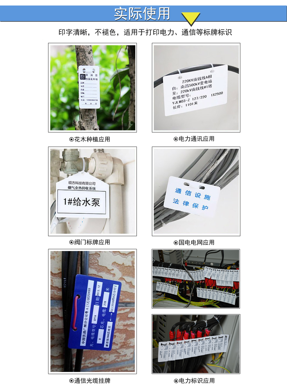 创硕techain电缆挂牌pvc光缆吊牌标志牌空白铭牌电力标牌100片1包2550