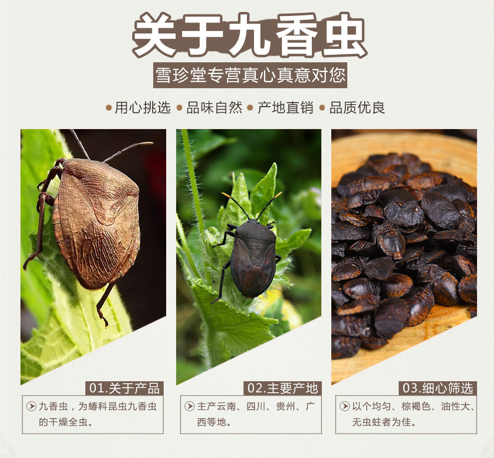 吉雪 九香虫 野生 清水 打屁虫 九香虫50克