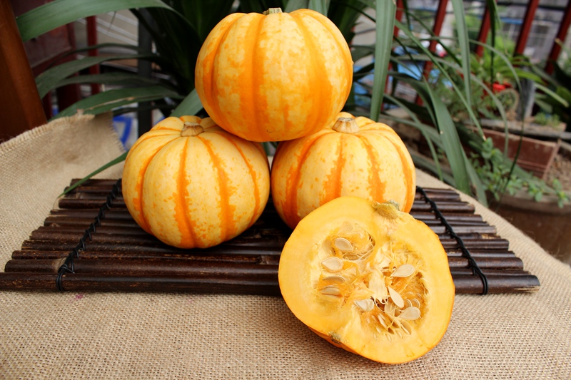 博多客小南瓜1斤装包邮桔瓜迷你贝贝南瓜黄色新鲜蔬菜农产品日天太阳