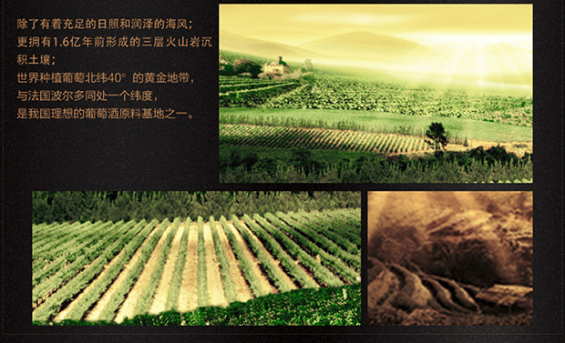 国产红酒长城特选级解百纳干红葡萄酒750ml*