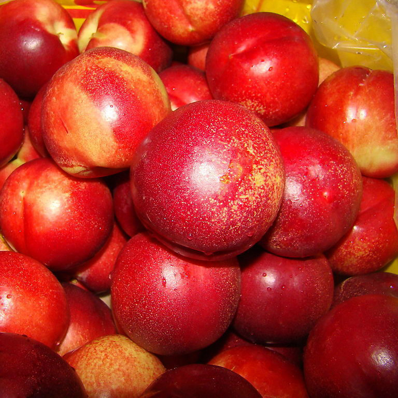 高寨绿果 新鲜油桃 油桃4号 15只一箱 约2kg