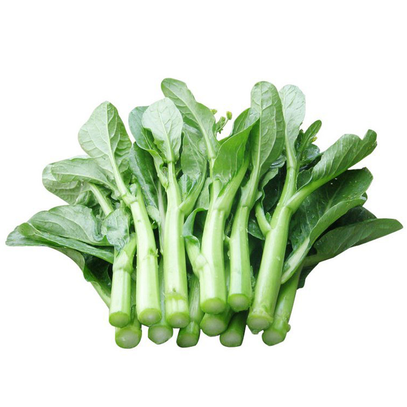 密园小农菜心新鲜蔬菜油麦菜1000g