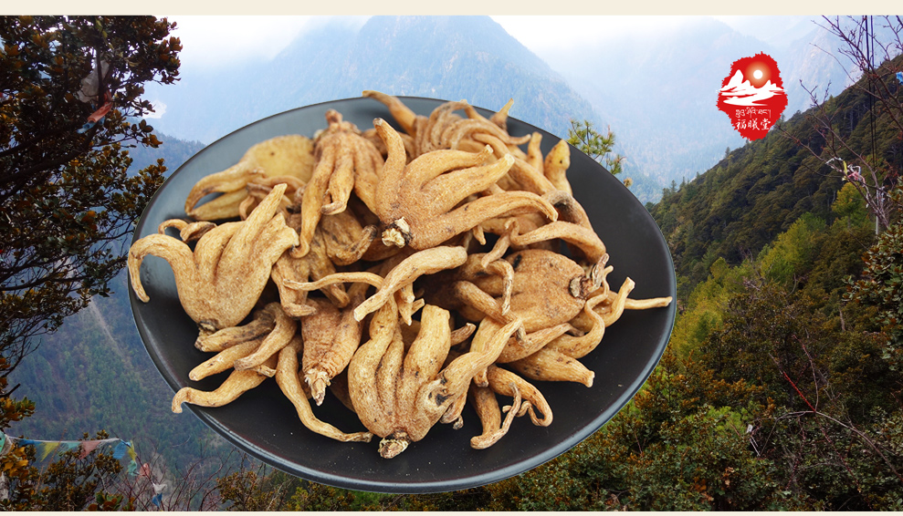 福曦堂 西藏手掌参 佛掌参 手掌参 西藏特产 煲汤料 西藏手掌参250克*