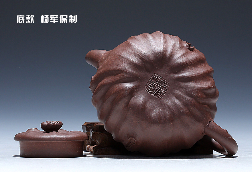 杨军保 工艺美术师 紫泥【枯木逢春】宜兴紫砂壶茶壶