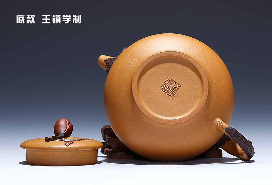王镇学 工艺美术师 黄金段泥【玉兰壶】宜兴紫砂壶茶壶