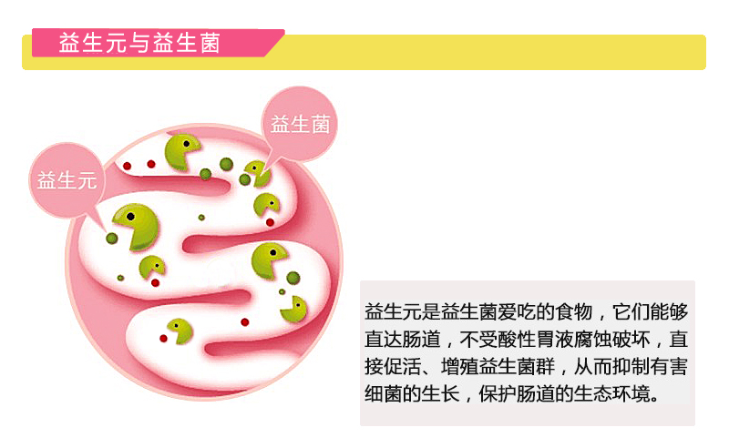 【 200g/袋】畅乐低聚果糖 益生元益生菌类固体饮品 水苏糖乳果寡糖