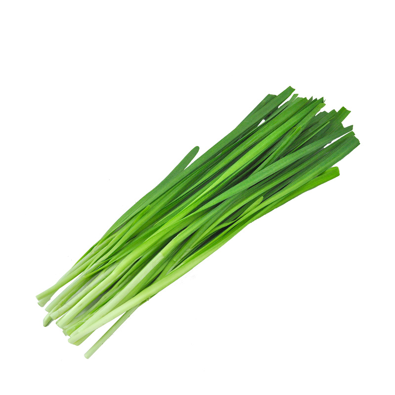 韭菜- 天天鲜