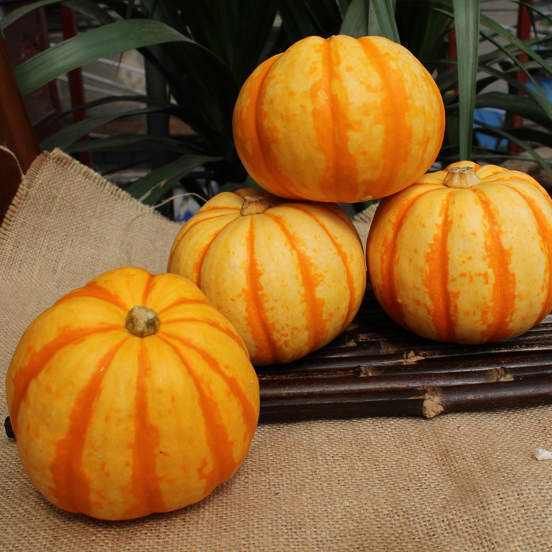 小南瓜1斤装桔瓜迷你贝贝黄南瓜黄色新鲜蔬菜农产品日天太阳瓜太阳果