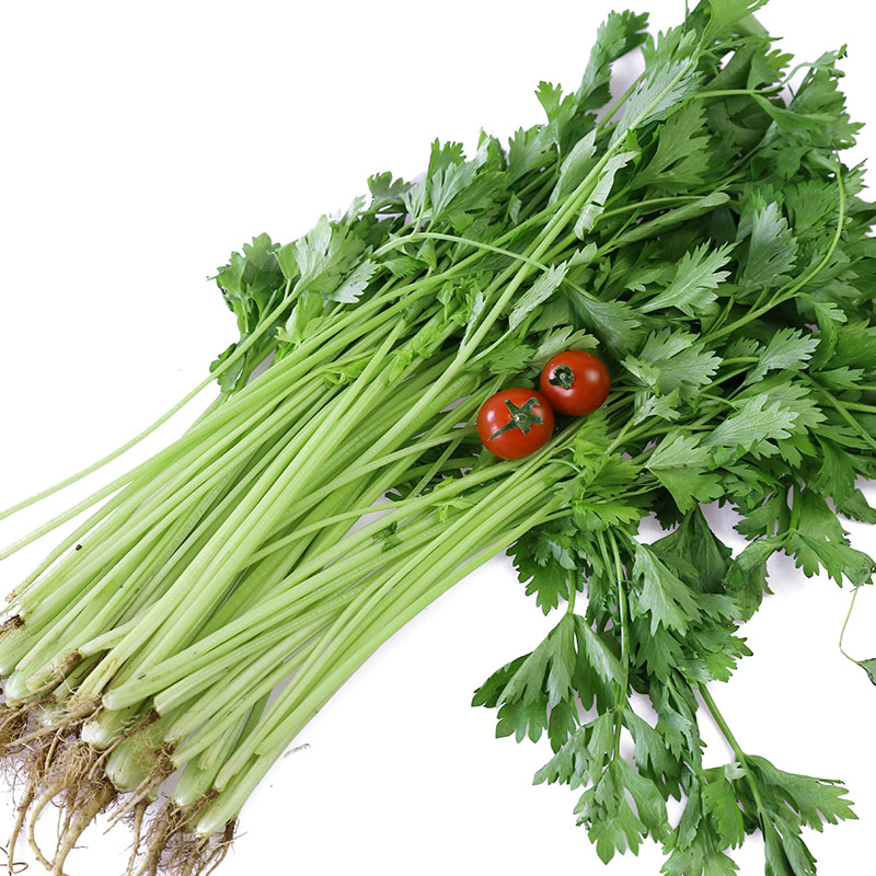 密园小农 小香芹菜 500g 新鲜蔬菜【图片 价格 品牌 报价】-京东