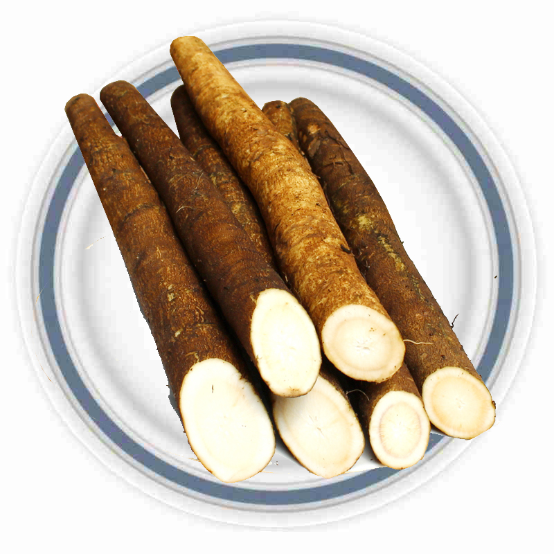 新鲜牛蒡根 苍山台湾 根 新鲜蔬菜牛旁 牛蒡菜 牛蒡茶的原料 5斤装_ 4