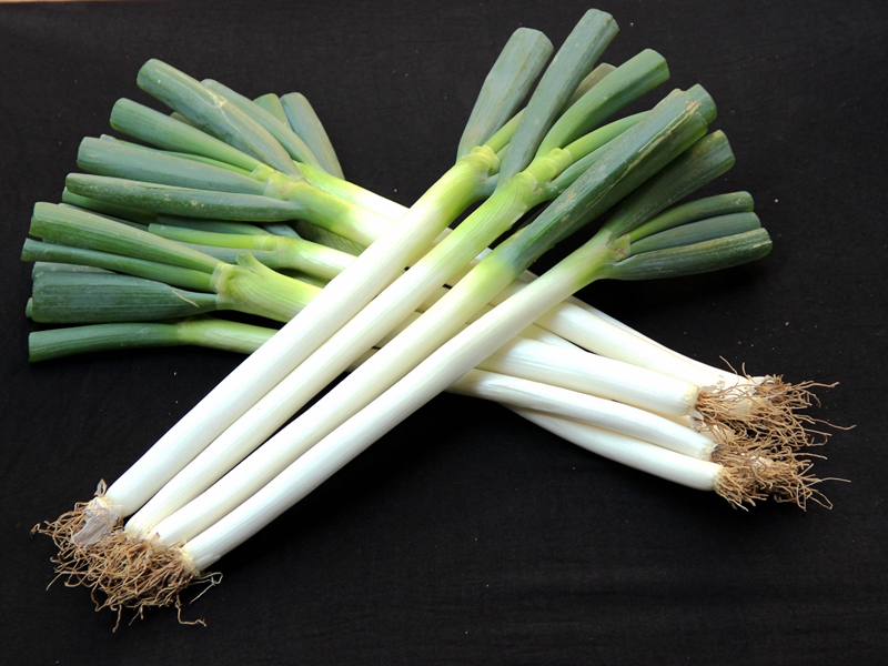 博多客 大葱 去叶 农家新鲜安丘大葱 新鲜蔬菜 山东 s燕 铁杆 5斤装