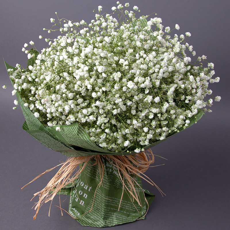 满天星绿植生日三八节鲜花速递同城花店配加全国成都江苏南京淮安盐城