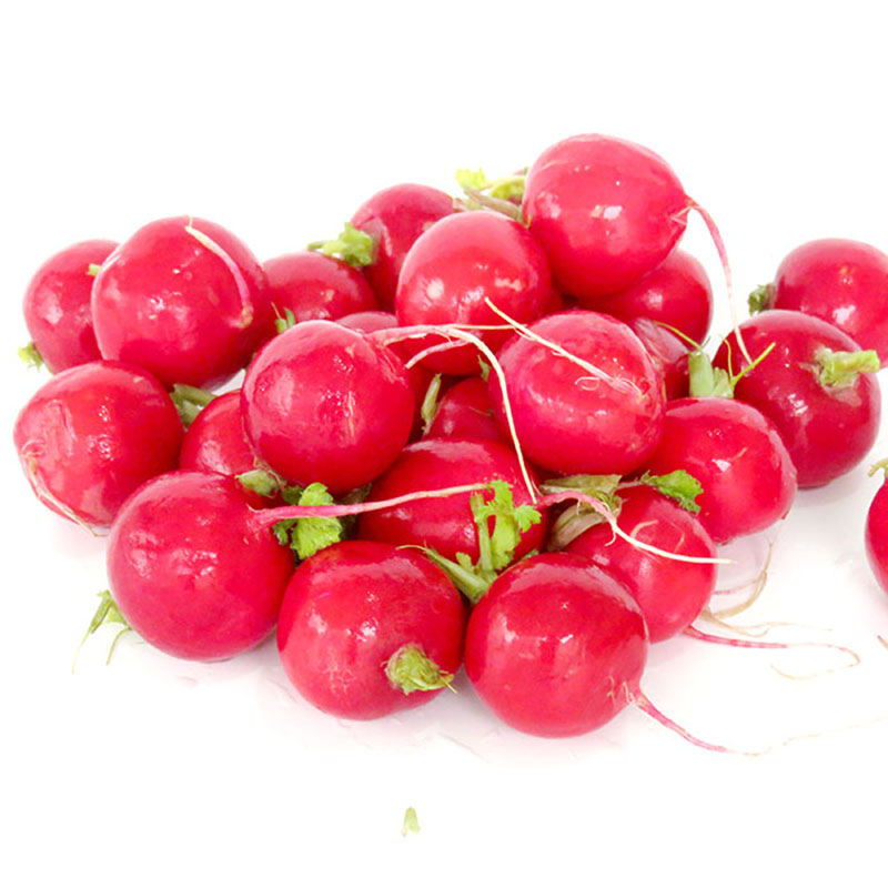 老一生鲜 迷你小萝卜新鲜小红萝卜樱桃萝卜 新鲜 500g_ 5折现价9元