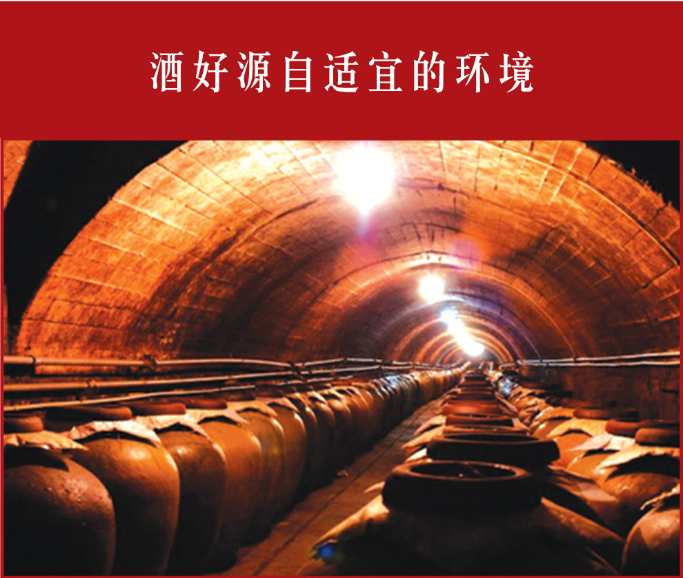 贵州习酒经典传奇原浆15v浓香型白酒52度1.5