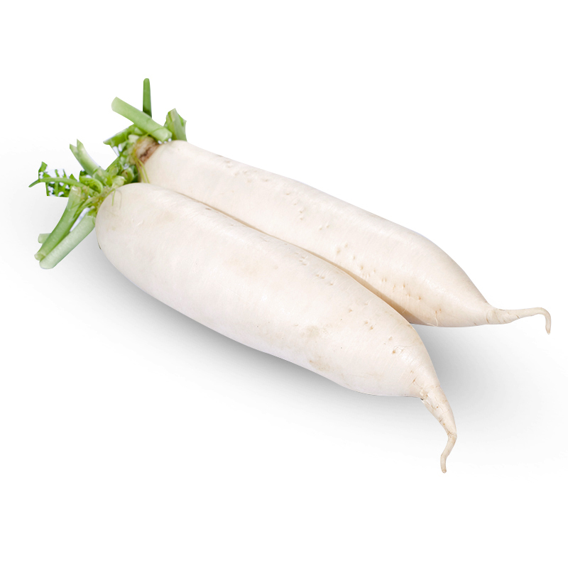 白萝卜 - 天天鲜