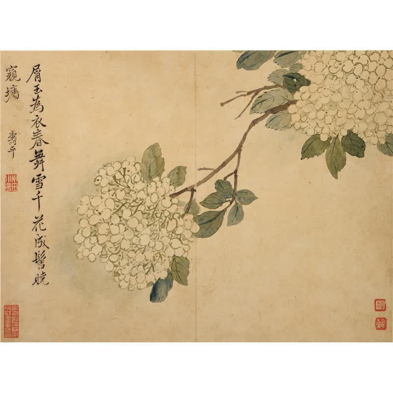 姿翰超高清微喷装饰画清代恽寿平写意花鸟画花果图册册页八开纸本31