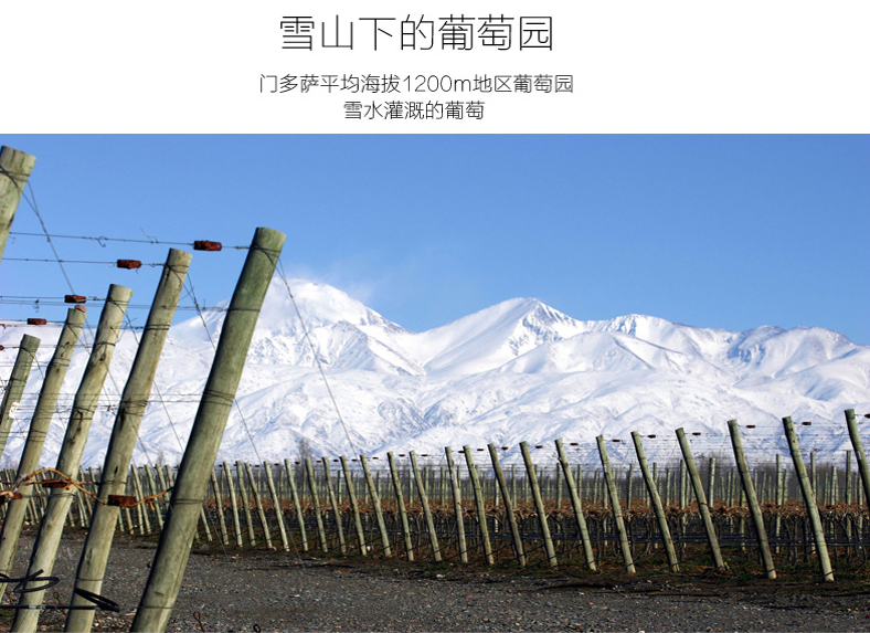 阿根廷琳达庄园干红葡萄酒 finca la linda原瓶进