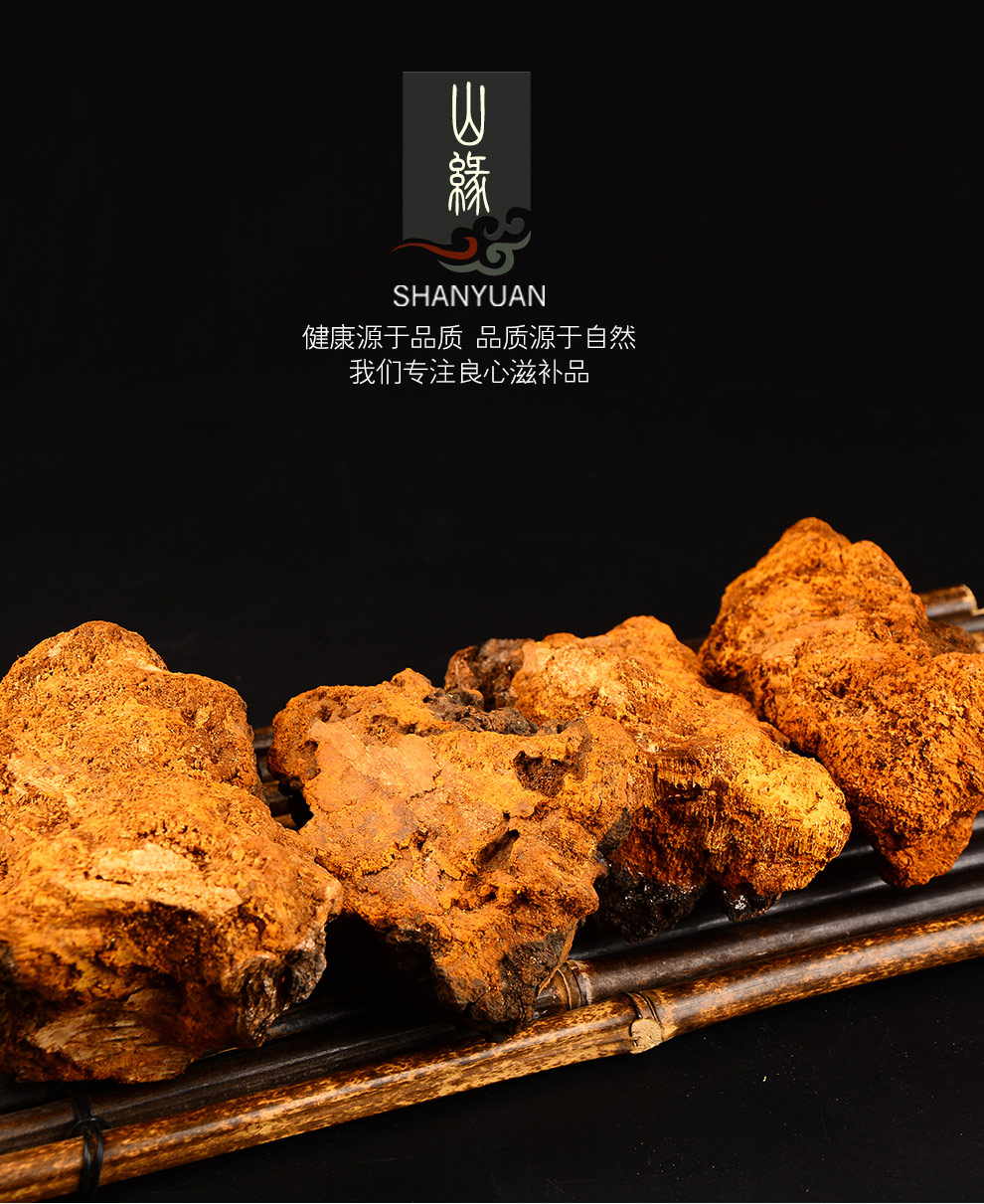 吉雪桦树茸长白山桦树茸林下桦褐孔菌茶桦树泪白桦茸桦褐孔菌500g