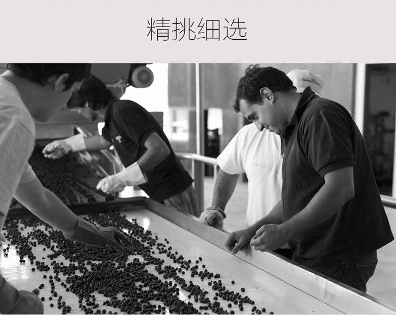 阿根廷琳达庄园干红葡萄酒 finca la linda原瓶进