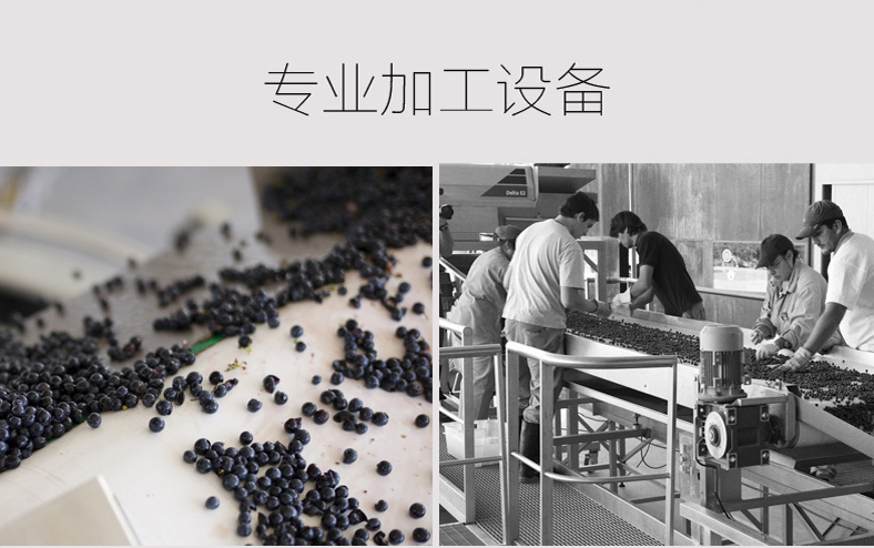 阿根廷琳达庄园干红葡萄酒 finca la linda原瓶进