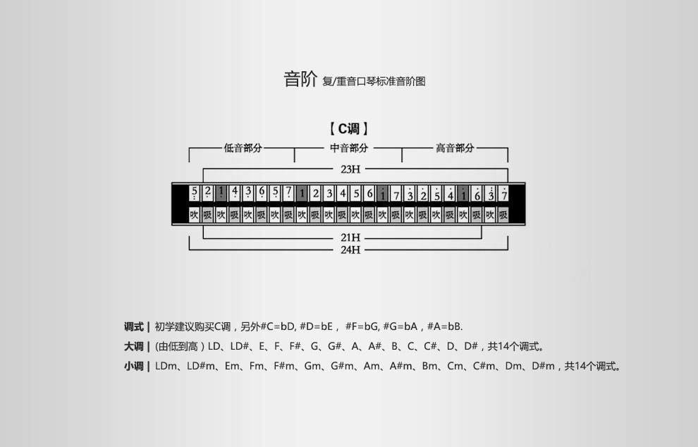 通宝(tombo) 日本原装高级专业演奏21孔重音口琴 9521 木质琴格 大调