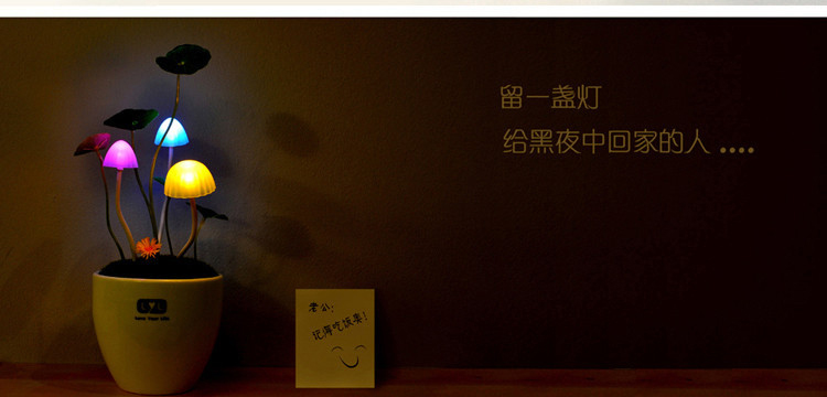 
                                        绿盒子 光控蘑菇灯 创意LED小夜灯 七彩床头灯DIY定制生日情人节儿童节礼物                