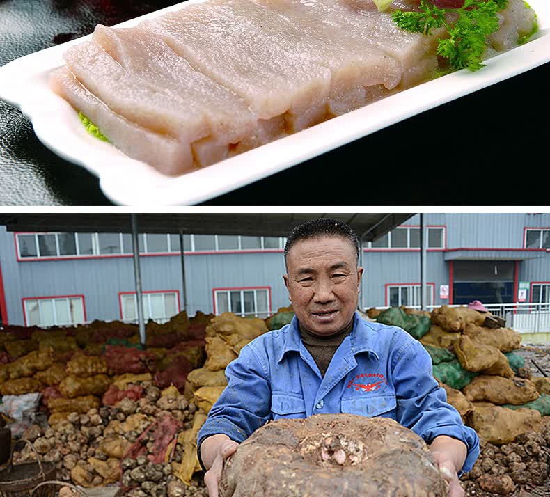陕西特产祝尔慷雪魔芋500g魔芋干魔芋丝休闲零食旬阳特产麻辣味500g