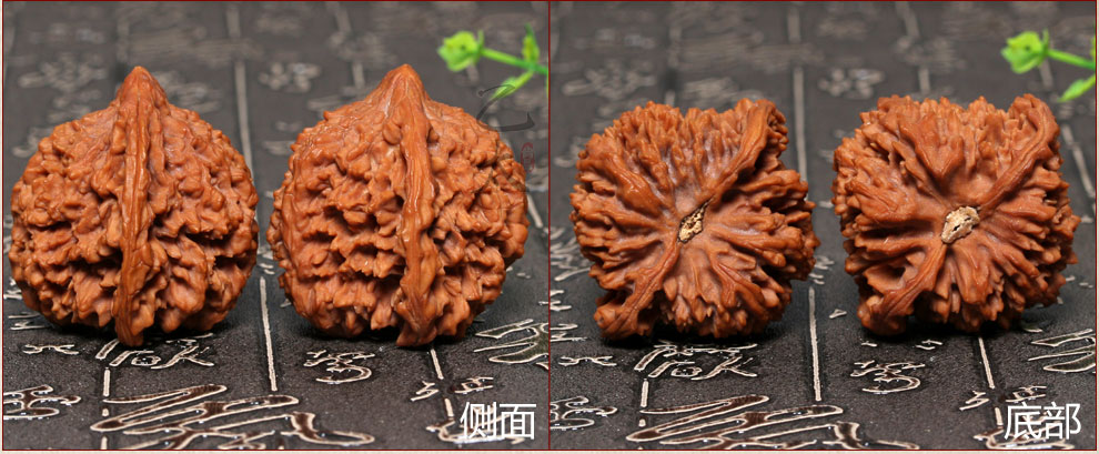 乙太尚品 精品老北京满天星文玩核桃 百花山把玩手球健身手玩麻核桃