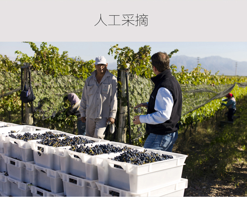 阿根廷琳达庄园干红葡萄酒 finca la linda原瓶进