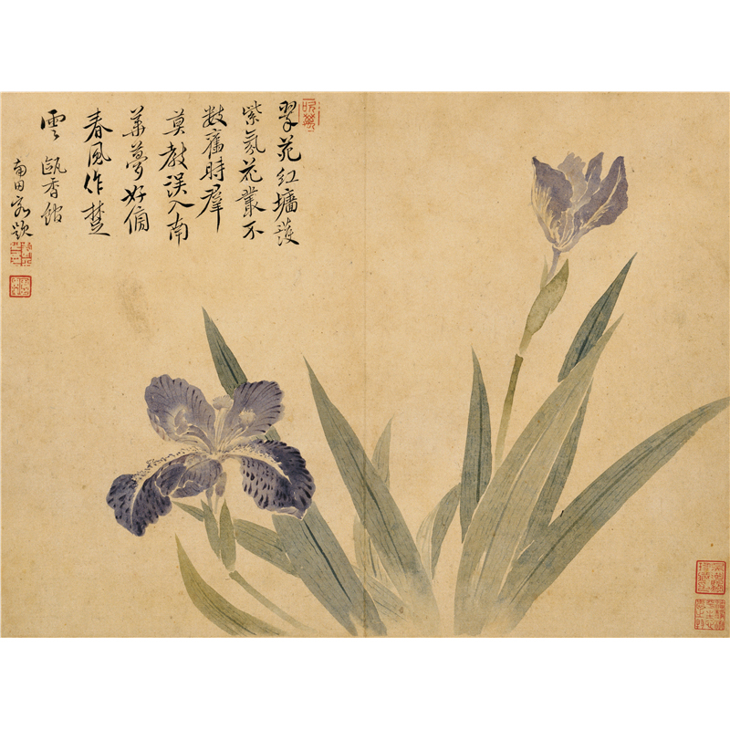 姿翰超高清微喷装饰画清代恽寿平写意花鸟画花果图册册页八开纸本31