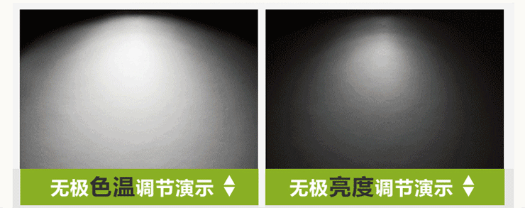 柏诗帝 客厅灯卧室灯 餐厅灯 书房灯 LED实木吸顶灯 中式吸顶灯 普通款